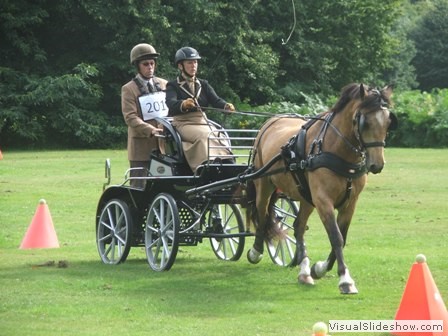 bagmoor190812g