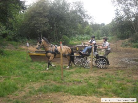 bagmoor190812i