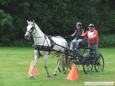 bagmoor190812r