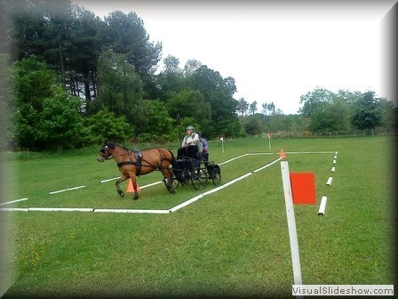 funday2012y