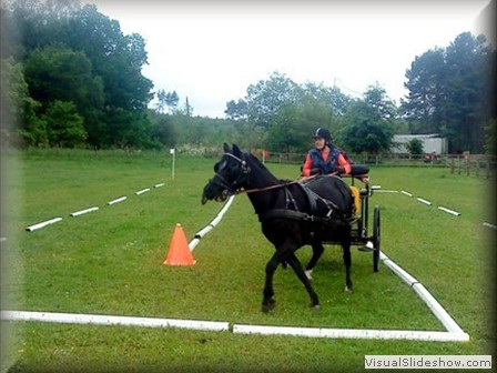 funday2012zd