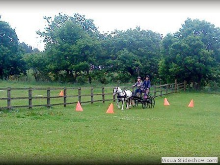 funday2012zg