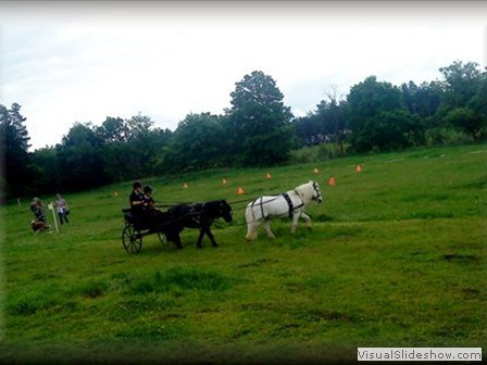funday2012zi