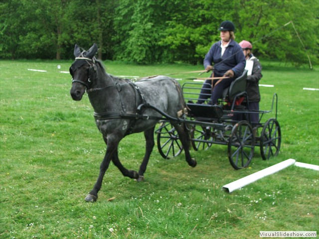 anne1