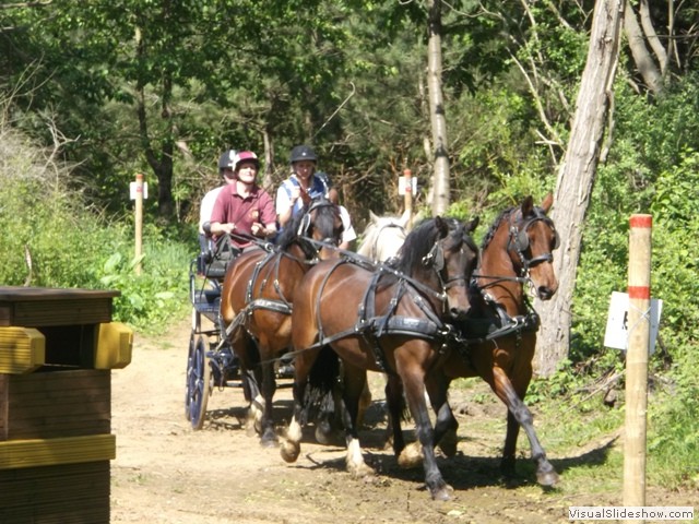 Bag7