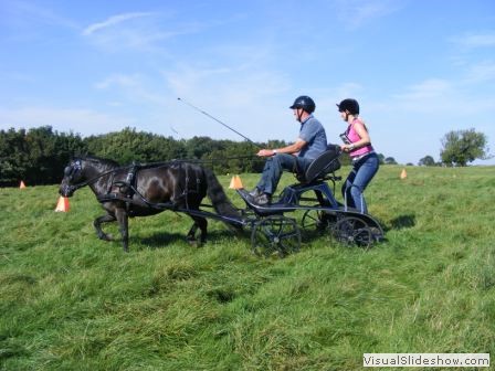beelsby090912_1