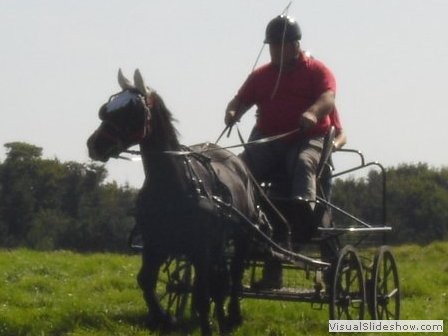 beelsby090912_2