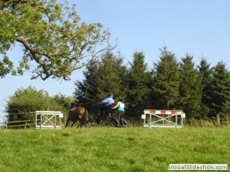 beelsby090912_3