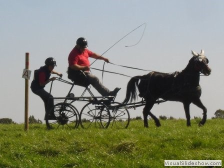 beelsby090912_4