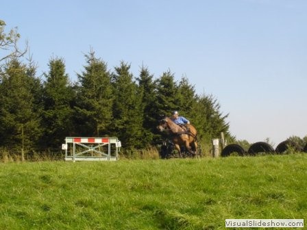 beelsby090912_5