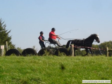 beelsby090912_6