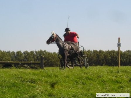 beelsby090912_7