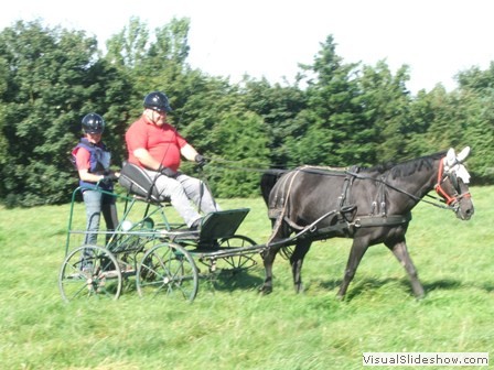 beelsby090912c