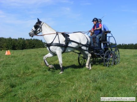 beelsby090912e