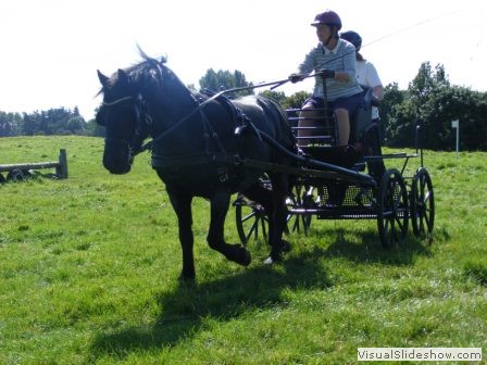 beelsby090912f