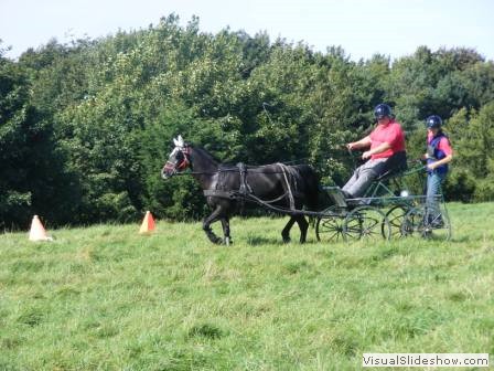beelsby090912h