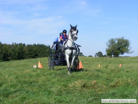 beelsby090912j