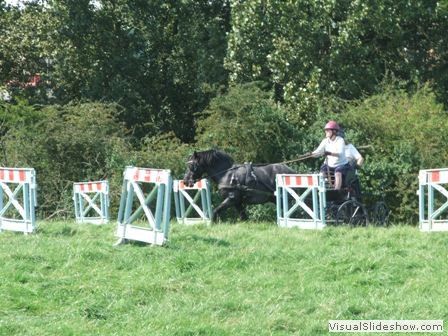 beelsby090912l
