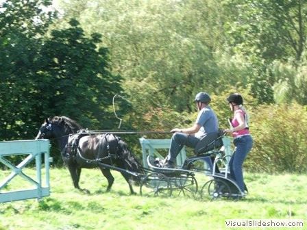 beelsby090912m
