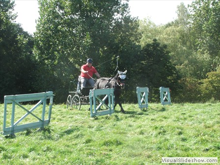 beelsby090912o