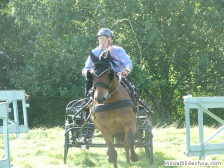 beelsby090912q