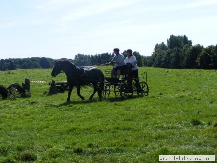 beelsby090912t