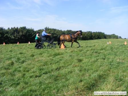 beelsby090912v