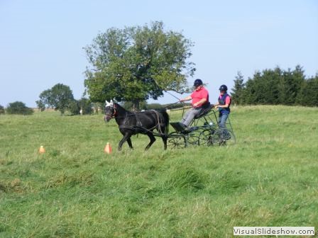 beelsby090912w