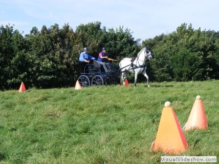 beelsby090912x