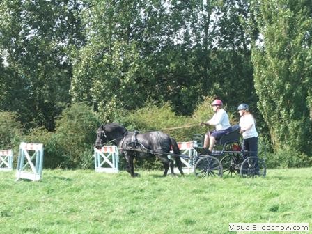 beelsby090912z