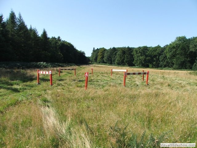 Obs4