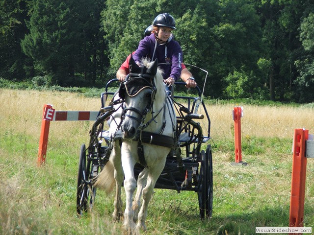 sophiek1