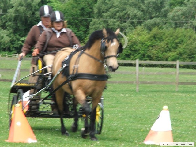 Jo1