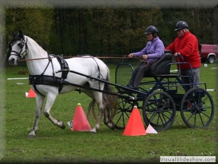 training130512u