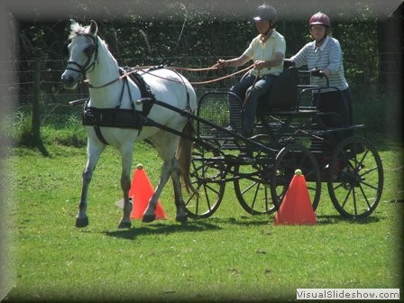 training270512b