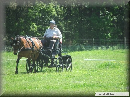 training270512i