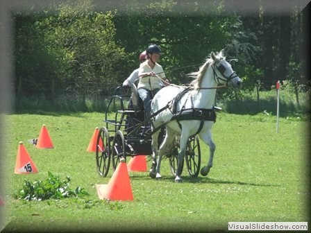 training270512p