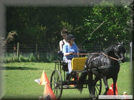 training270512q