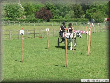 training270512zd