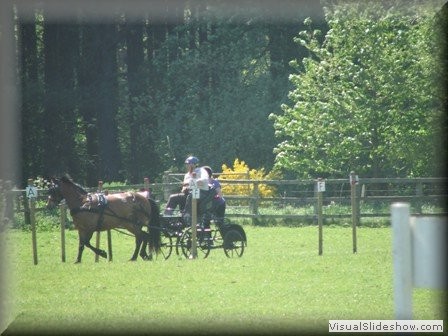training270512zi