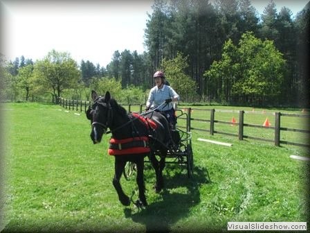 training270512zk
