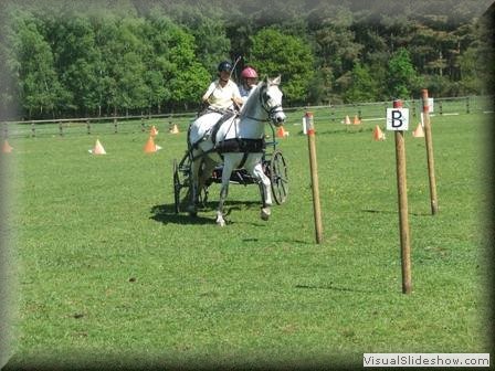 training270512zm