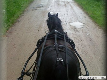 lindseytrail2012e