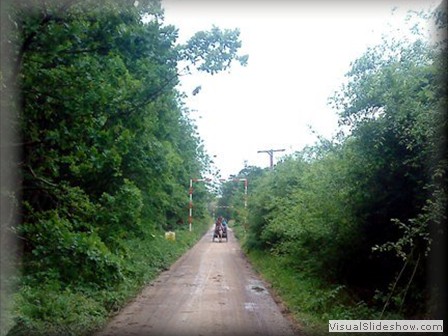 lindseytrail2012i