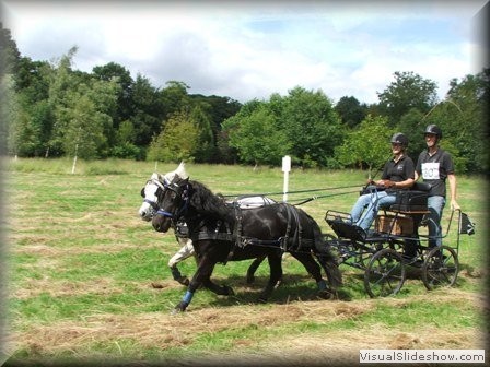riseholme2009a