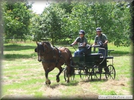 riseholme2009l