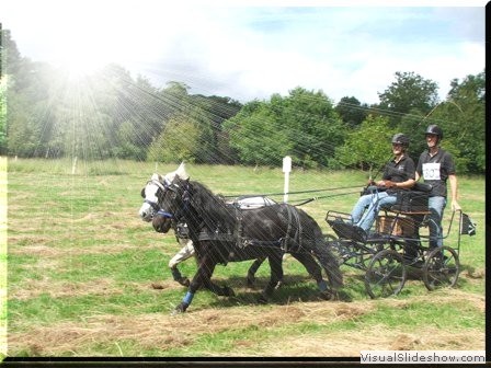 riseholme2009n