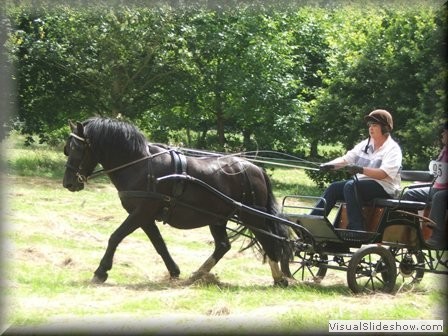 riseholme2009o