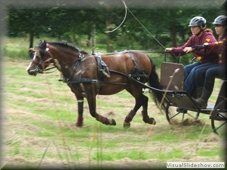 riseholme2009p