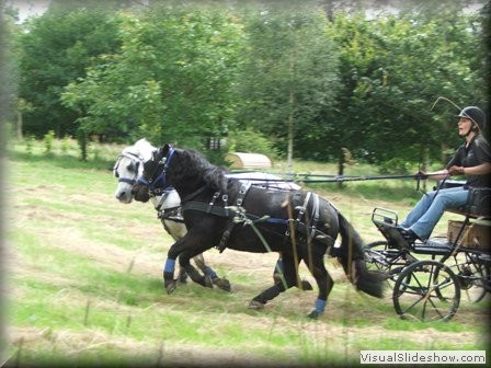 riseholme2009r